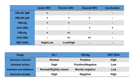 anti hbs reactive meaning tagalog|Hepatitis B Serology Interpretation .